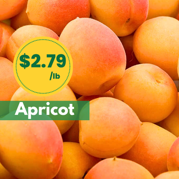 Apricot