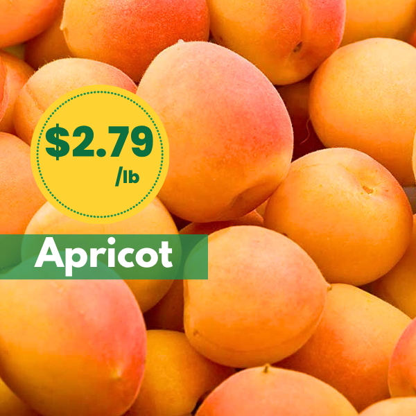 Apricot