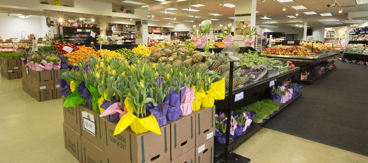 Produce at Mission Ranch Market